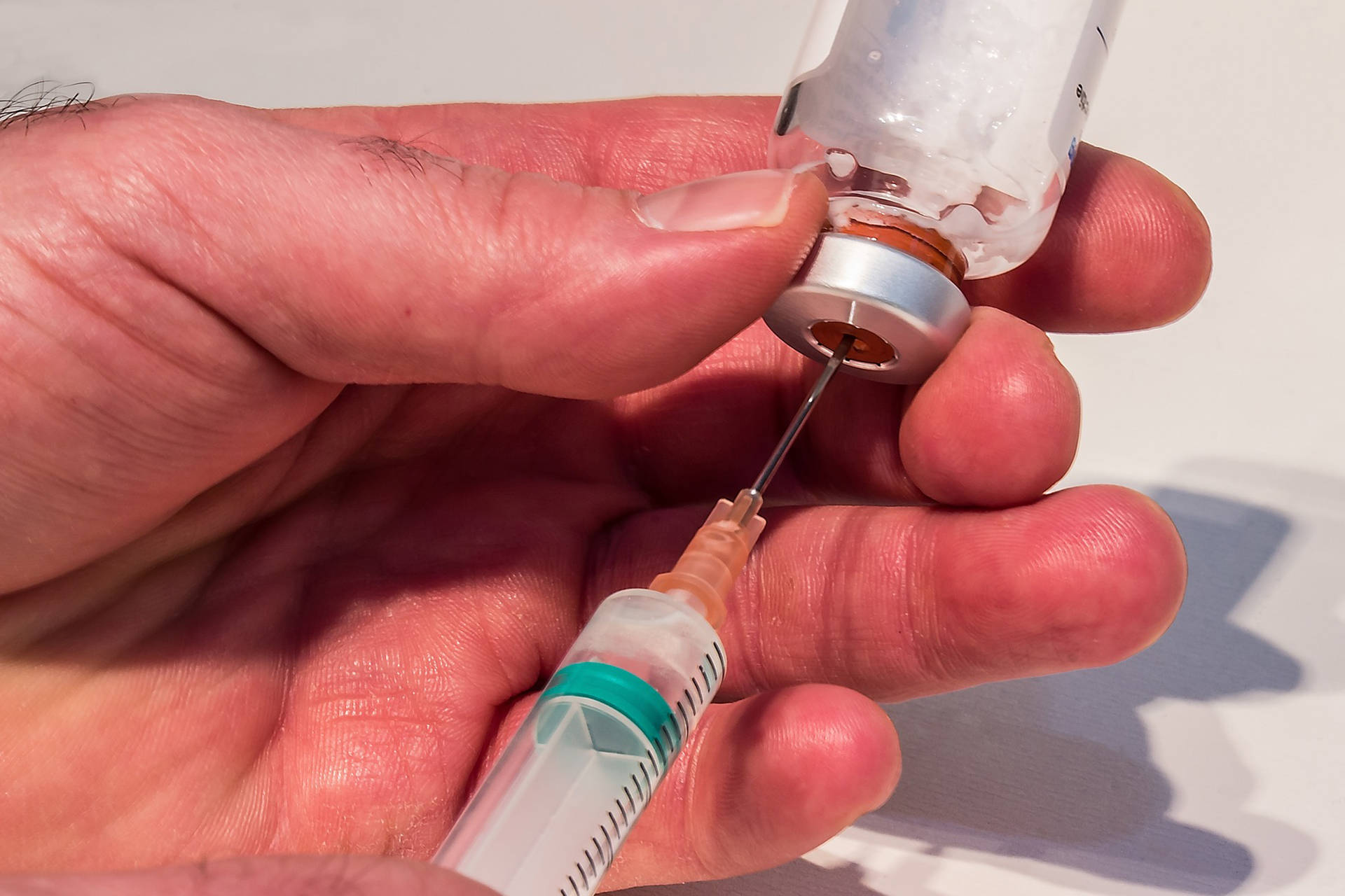 Vacuna Contra La Leishmaniosis