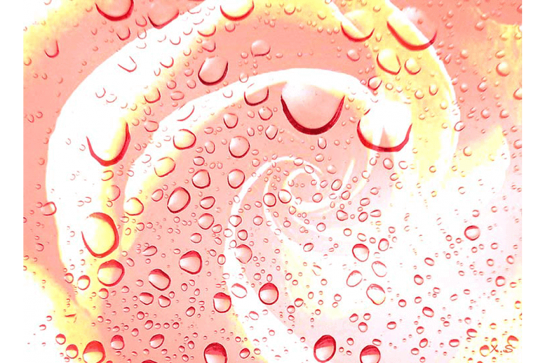 Fusión Gotas